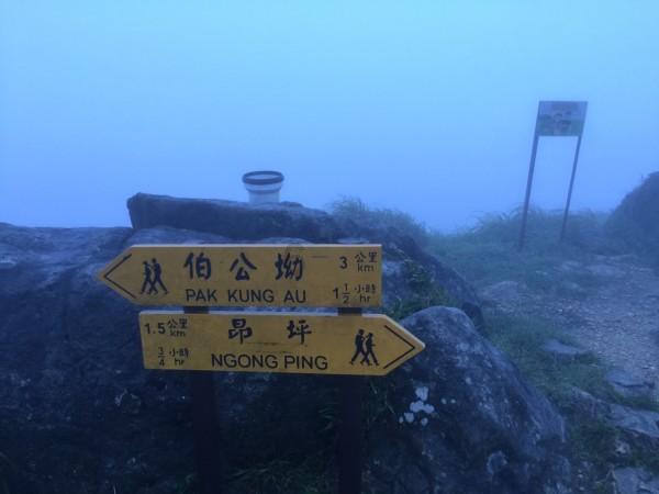 长春农商银行“长囍系列”2024017期封闭式净值型理财产品23日起发行