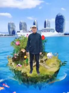 破碎的动物图形