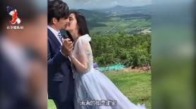 虫虫助手下载